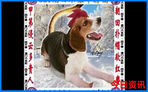 去北京玩哪些地方必去